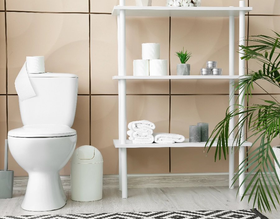 Image of tec nut single websites demo Toilets Get a new company website with: web design for small businesses, example for website, Easy Website, web building sites, site for small business, Hosting, make business website, website design, great websites, custom website design company, Square Space